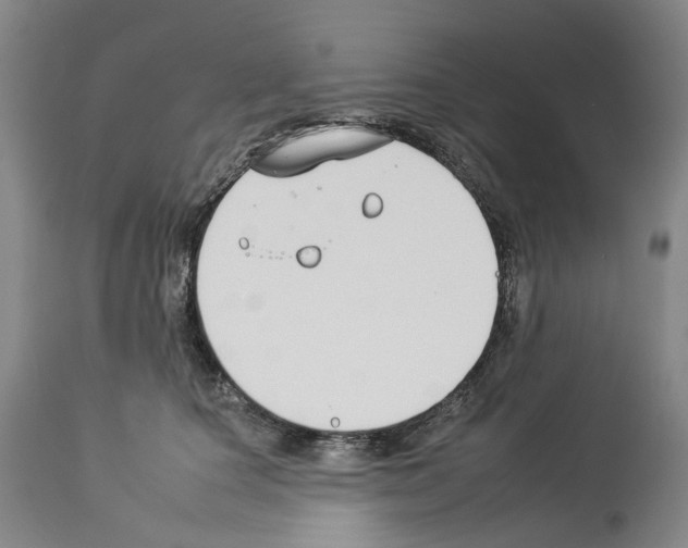 X0000112930660200910051133