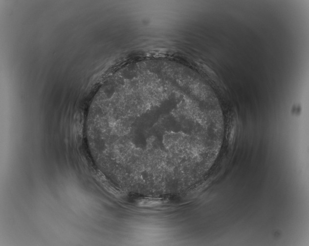 X0000112930661200910051133