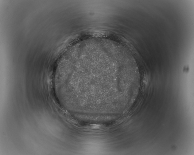 X0000112930663200910051133