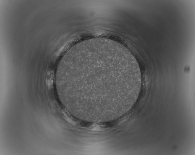 X0000112930664200910051133