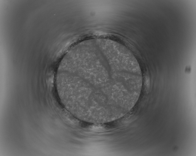 X0000112930668200910051133