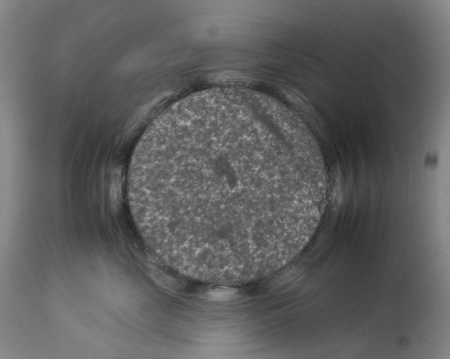 X0000112930669200910051133