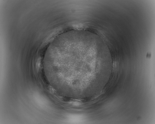 X0000112930671200910051133