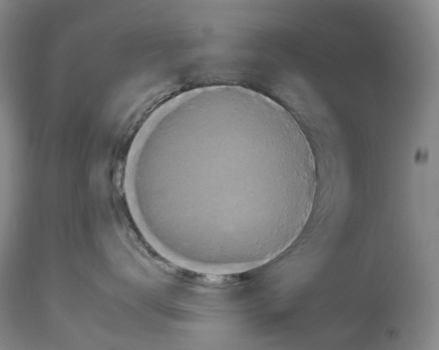 X0000112930672200910051133