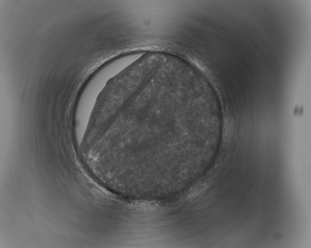 X0000112930673200910051132