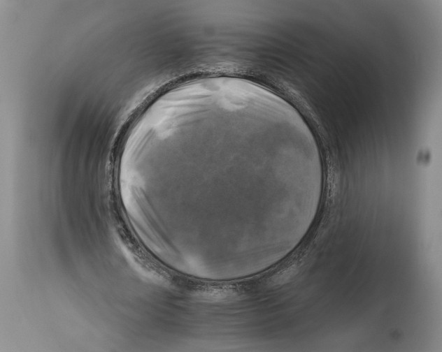 X0000112930674200910051132