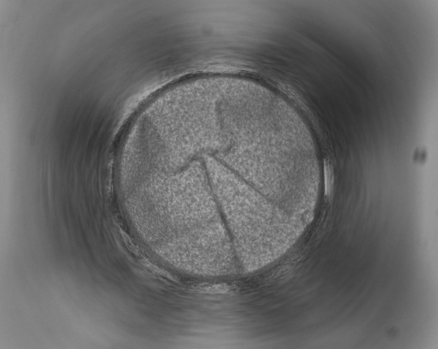 X0000112930675200910051132