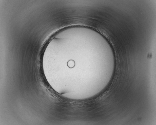 X0000112930676200910051132