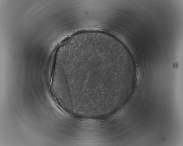 X0000112930677200910051132