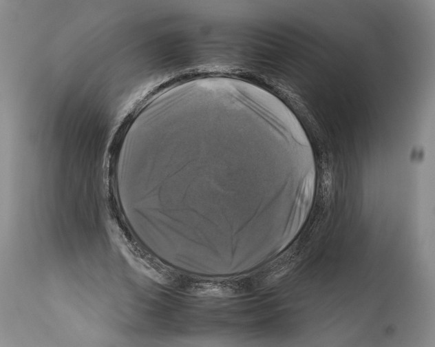 X0000112930678200910051132