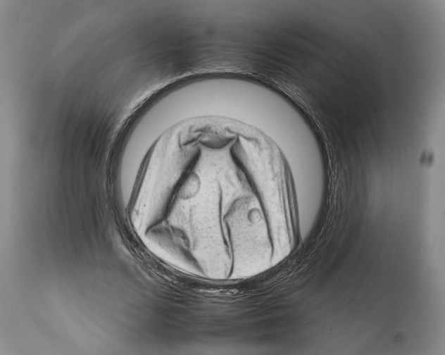 X0000112930680200910051132