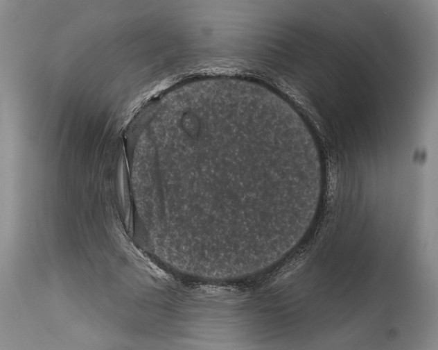 X0000112930681200910051132