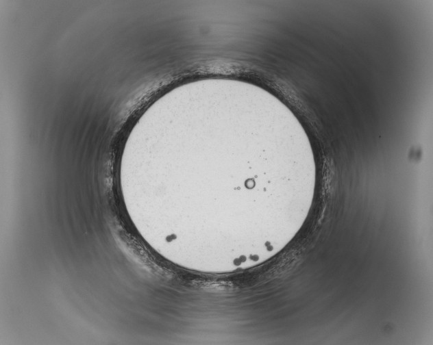 X0000112930683200910051132