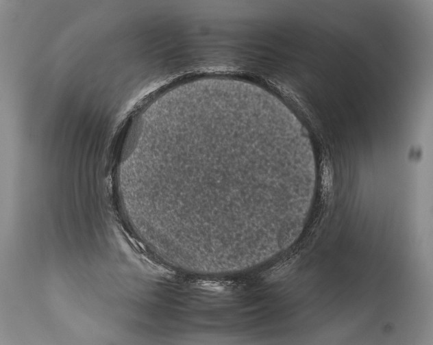X0000112930684200910051132