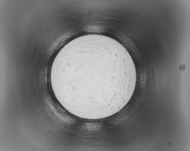 X0000112930686200910051132