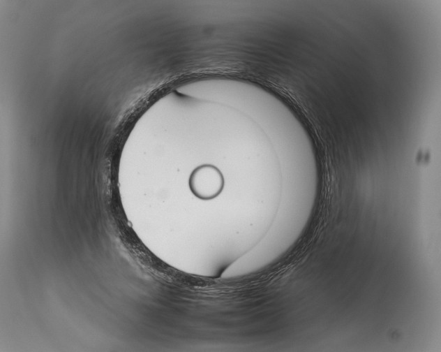 X0000112930688200910051132