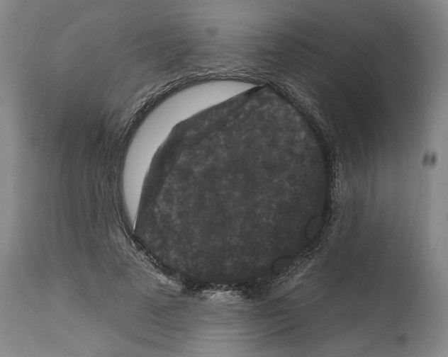 X0000112930689200910051132