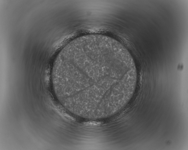 X0000112930691200910051132