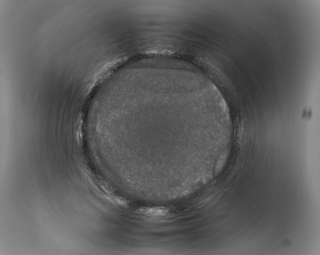 X0000112930692200910051132