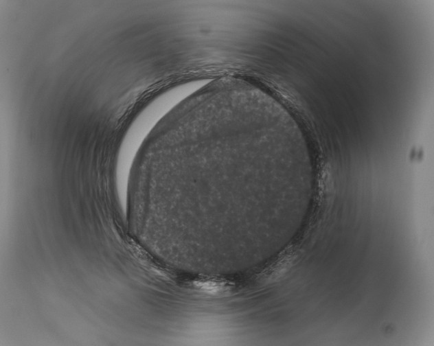 X0000112930693200910051132