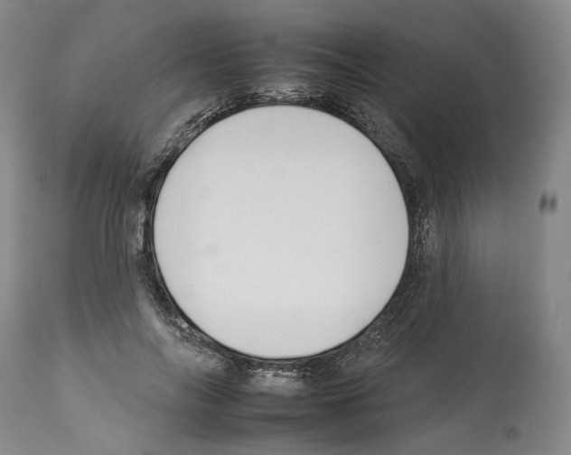 X0000112930694200910051132
