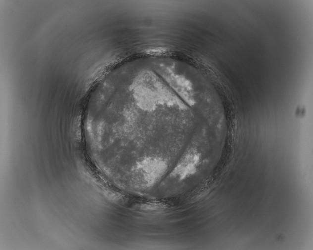 X0000112930696200910051132