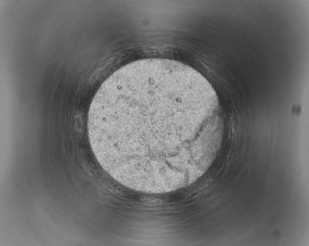 X0000112930699200910051131