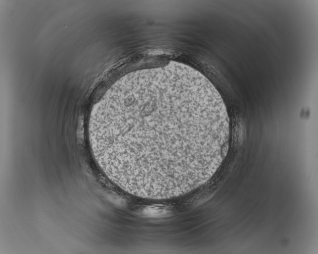 X0000112930700200910051131