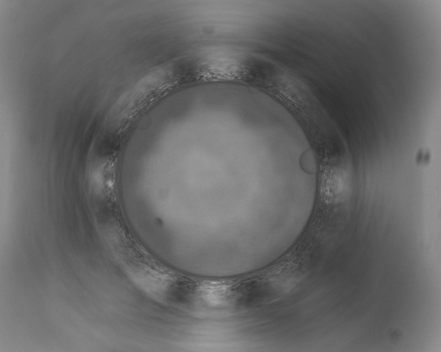 X0000112930701200910051131