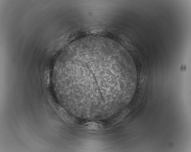 X0000112930703200910051131