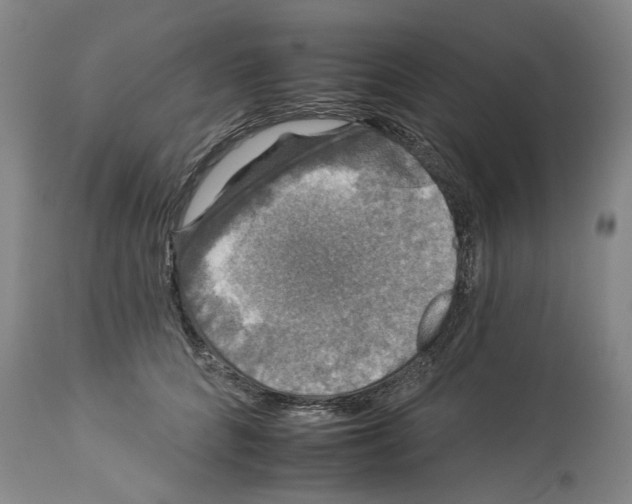 X0000112930704200910051131