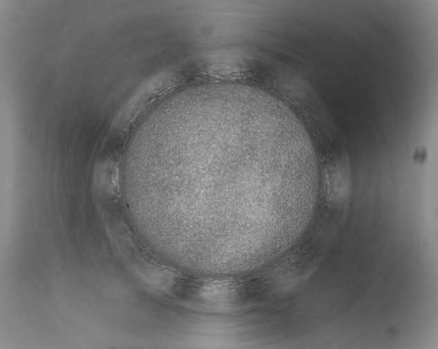 X0000112930705200910051131