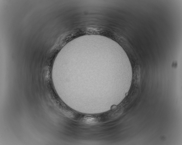 X0000112930706200910051131