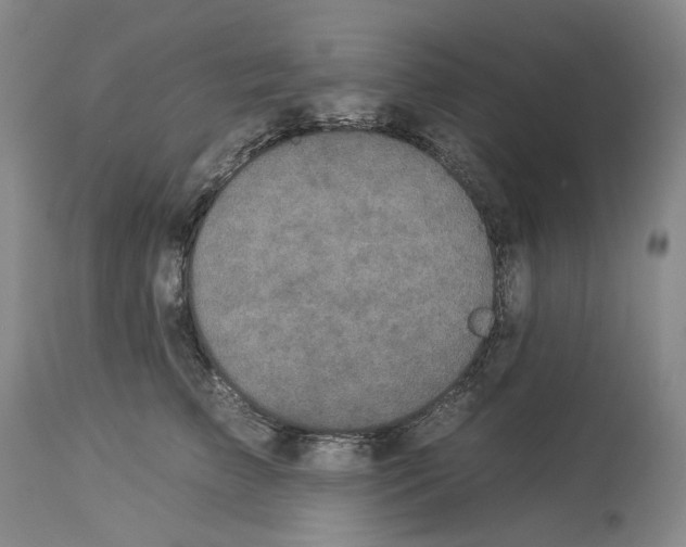 X0000112930709200910051131