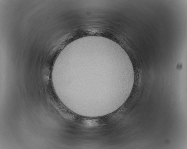 X0000112930710200910051131