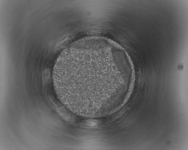 X0000112930711200910051131