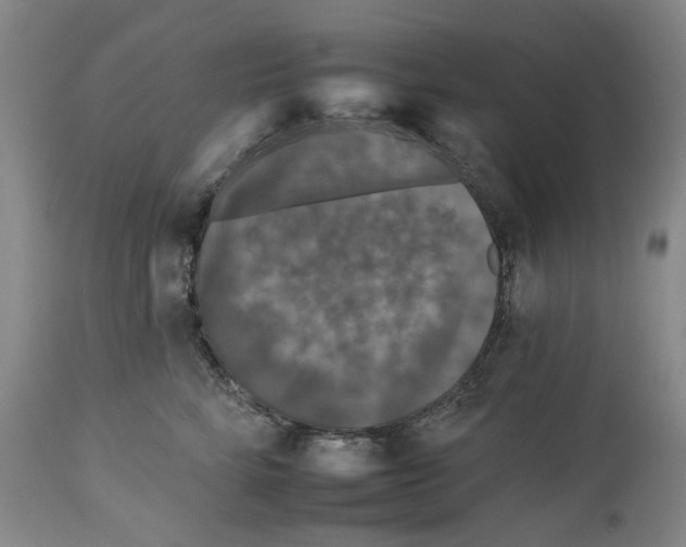 X0000112930712200910051131