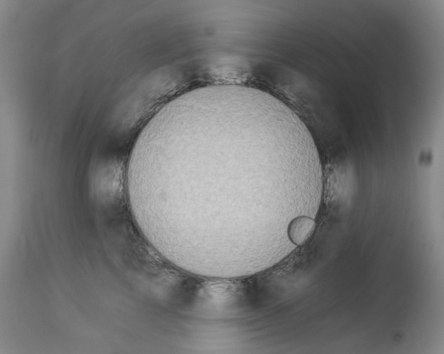 X0000112930713200910051131