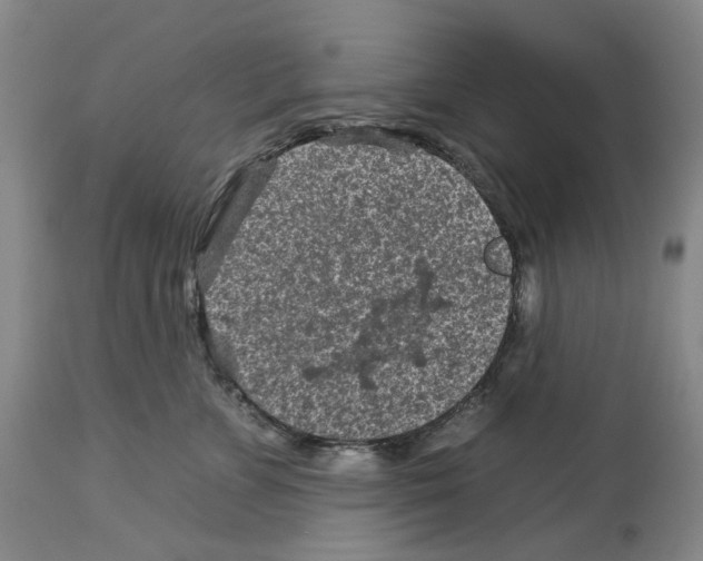 X0000112930715200910051131
