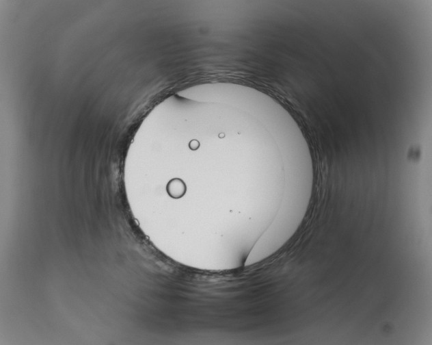X0000112930716200910051131