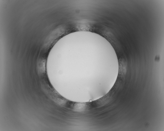 X0000112930717200910051131