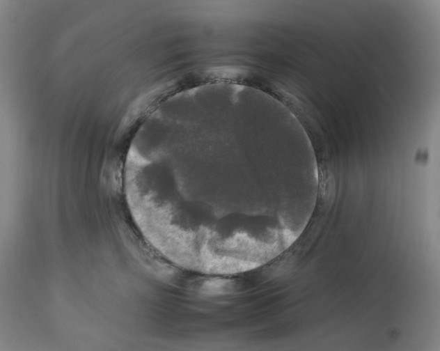 X0000112930718200910051131