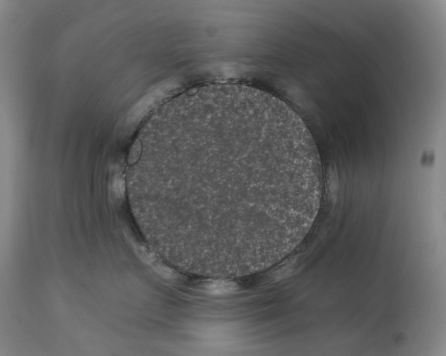X0000112930719200910051131