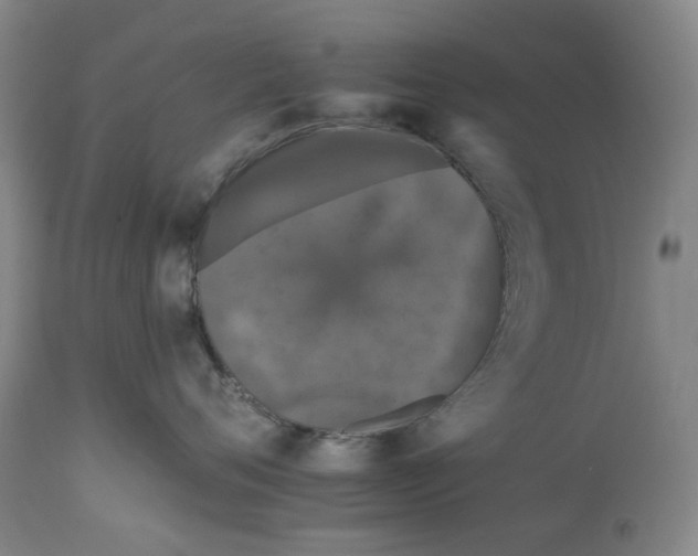 X0000112930720200910051131