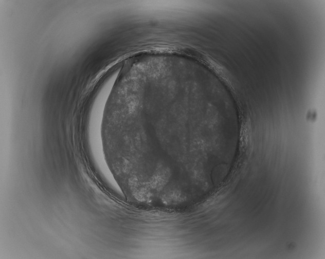 X0000112930722200910051131
