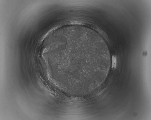 X0000112930723200910051131