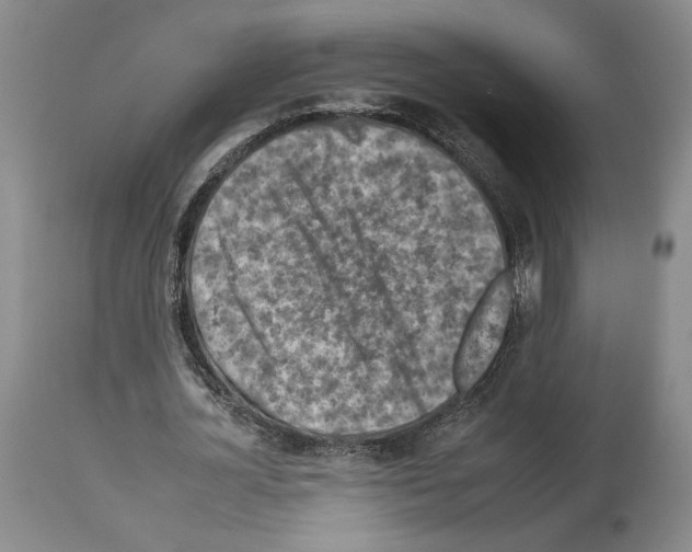 X0000112930724200910051131