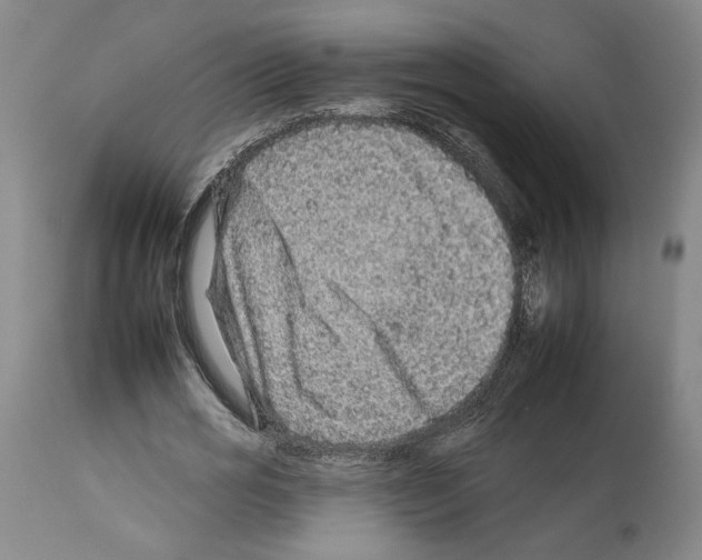 X0000112930725200910051131