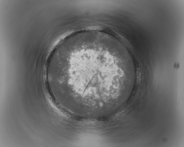 X0000112930726200910051131