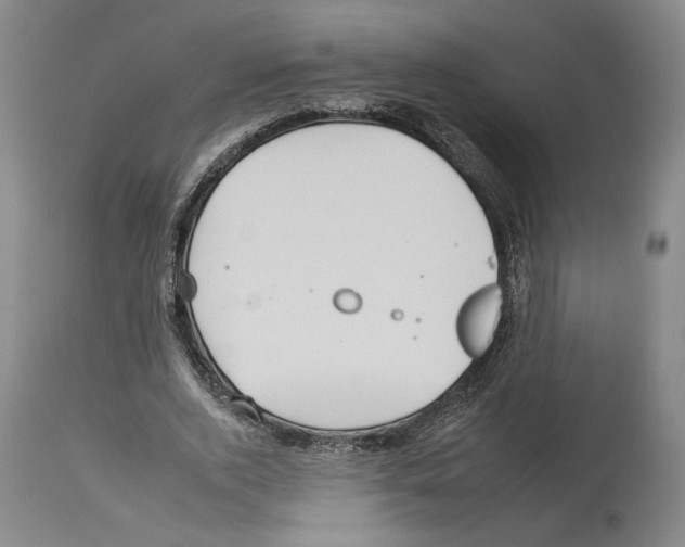 X0000112930728200910051131